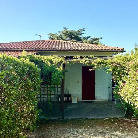Con Giardino E Posto Auto A - N183 Apartamento *