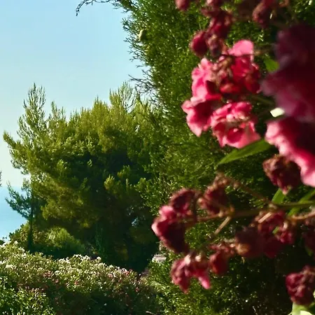 Apartamento Con Giardino E Posto Auto A - N183 *