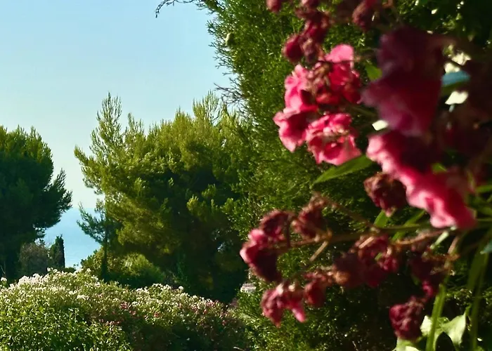 Διαμέρισμα Con Giardino E Posto Auto A - N183 *